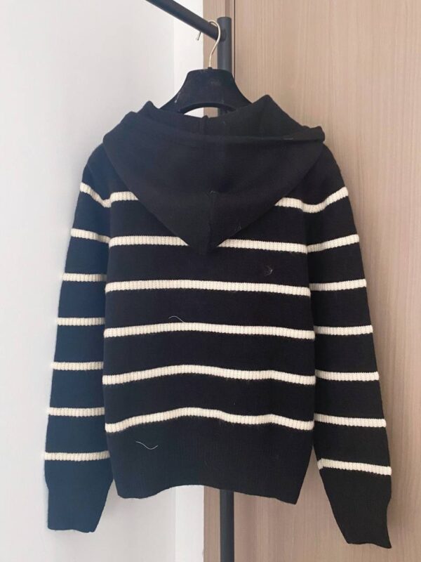 photo_2025-12-25_06-38-29 Худи Celine