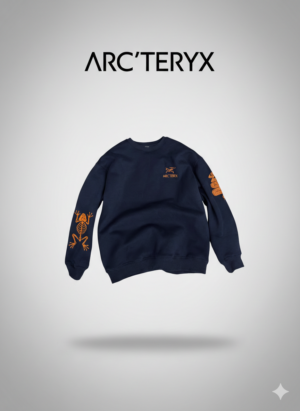 Толстовка ArcTeryx