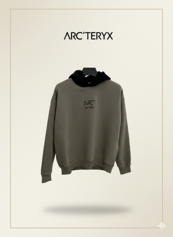 Gemini_Generated_Image_g03ze8g03ze8g03z Худи ArcTeryx