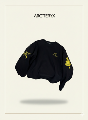 Толстовка ArcTeryx