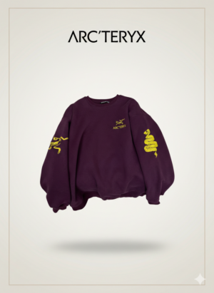 Толстовка ArcTeryx