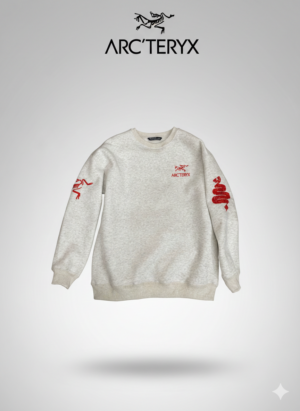 Толстовка ArcTeryx