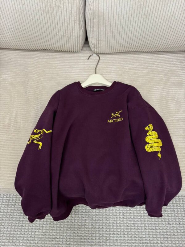 photo_2026-01-05_10-03-36 Толстовка ArcTeryx