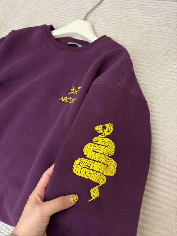 photo_2026-01-05_10-03-39 Толстовка ArcTeryx