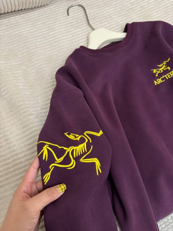 photo_2026-01-05_10-03-42 Толстовка ArcTeryx