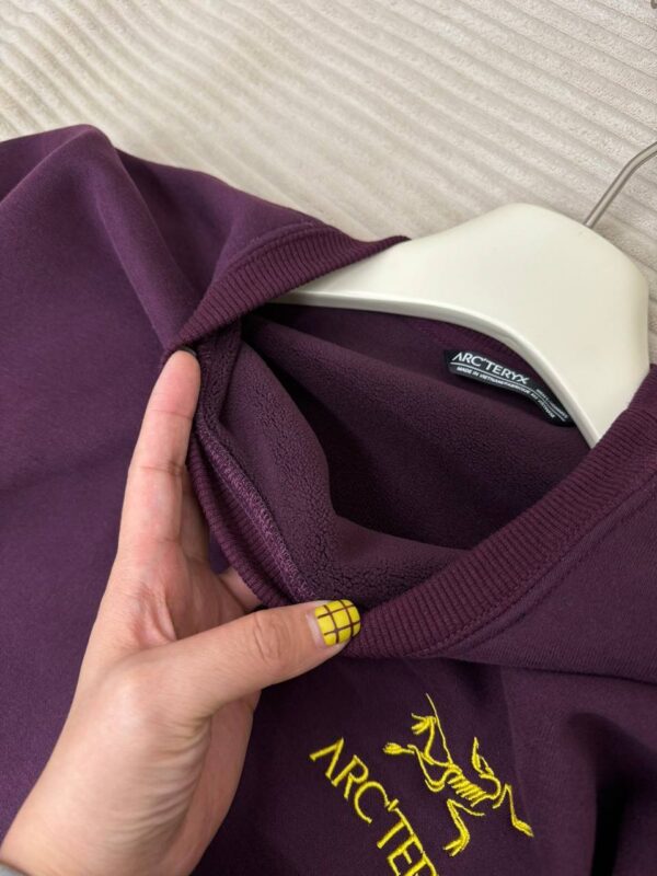 photo_2026-01-05_10-03-45 Толстовка ArcTeryx
