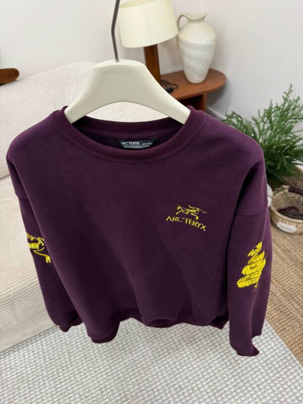 photo_2026-01-05_10-03-48 Толстовка ArcTeryx