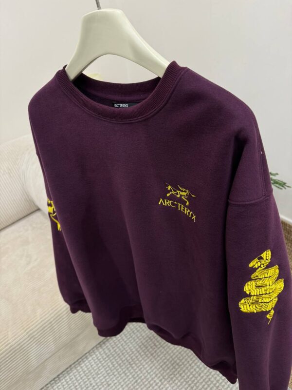 photo_2026-01-05_10-03-53 Толстовка ArcTeryx