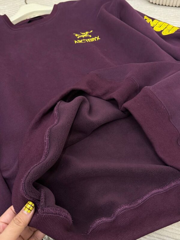 photo_2026-01-05_10-03-58 Толстовка ArcTeryx