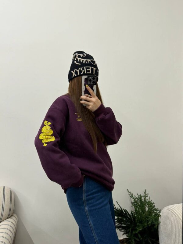 photo_2026-01-05_10-04-06 Толстовка ArcTeryx