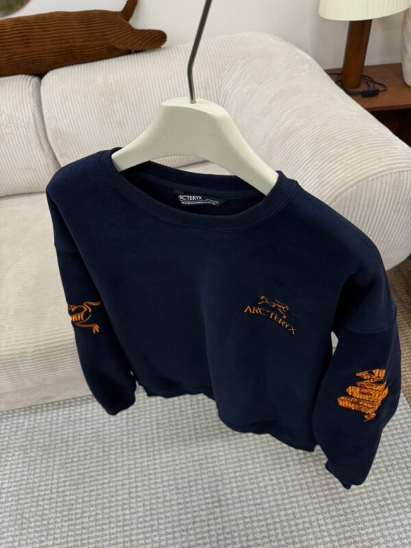 photo_2026-01-05_10-45-52 Толстовка ArcTeryx