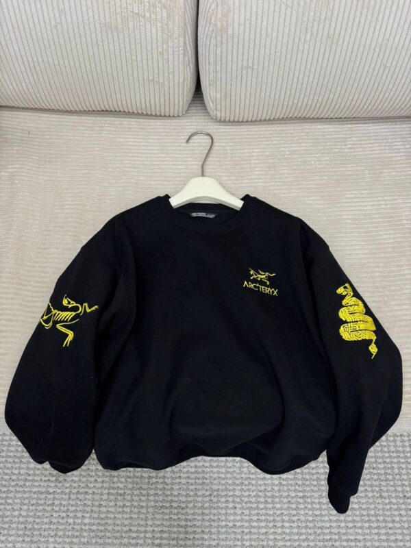 photo_2026-01-05_10-48-38 Толстовка ArcTeryx