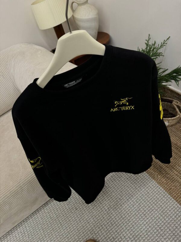 photo_2026-01-05_10-48-47 Толстовка ArcTeryx
