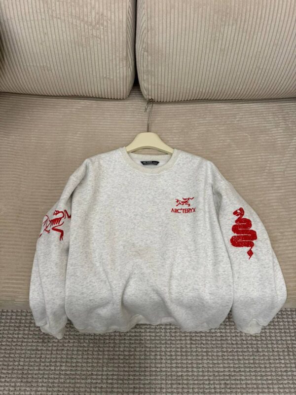 photo_2026-01-05_10-51-03 Толстовка ArcTeryx