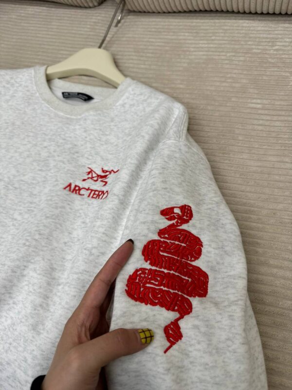 photo_2026-01-05_10-51-06 Толстовка ArcTeryx