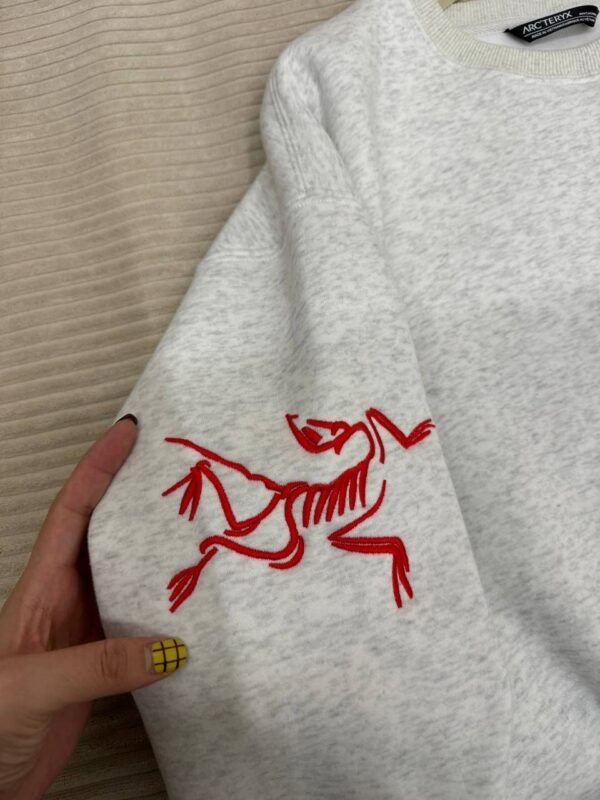 photo_2026-01-05_10-51-09 Толстовка ArcTeryx