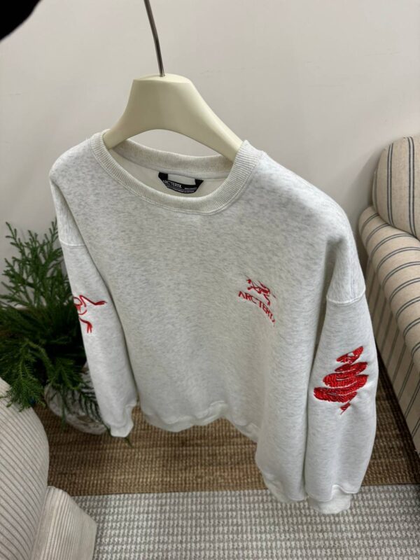 photo_2026-01-05_10-51-13 Толстовка ArcTeryx