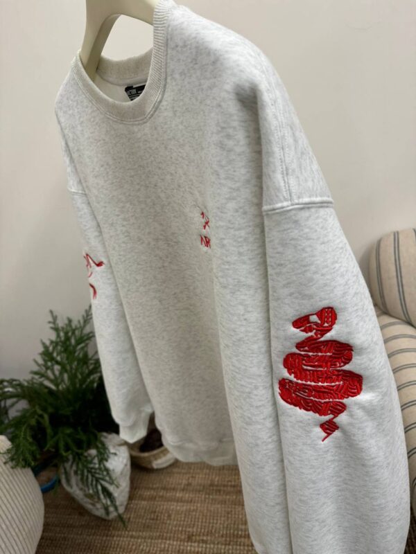 photo_2026-01-05_10-51-16 Толстовка ArcTeryx