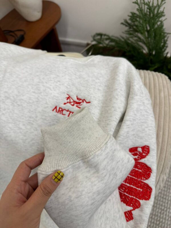 photo_2026-01-05_10-51-18 Толстовка ArcTeryx