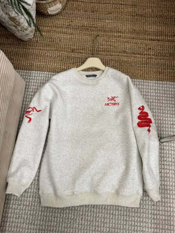 photo_2026-01-05_10-51-23 Толстовка ArcTeryx