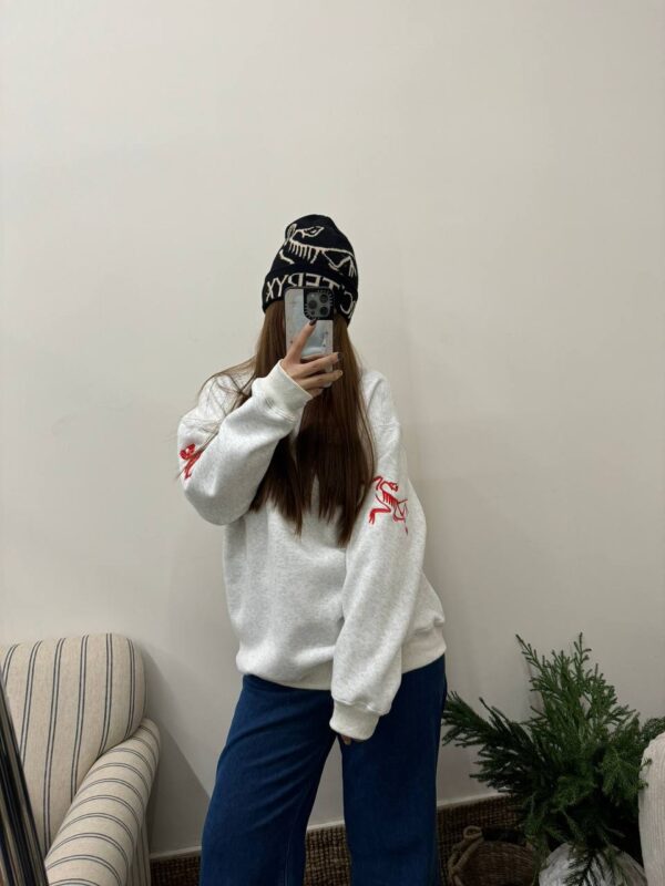 photo_2026-01-05_10-51-32 Толстовка ArcTeryx