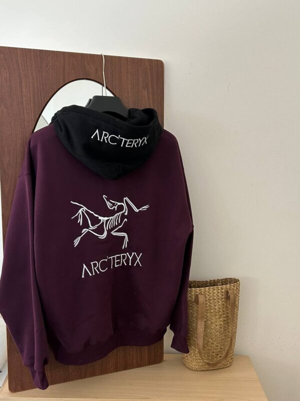 Худи ArcTeryx