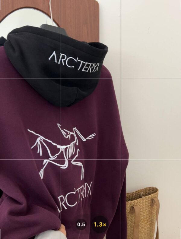 Худи ArcTeryx
