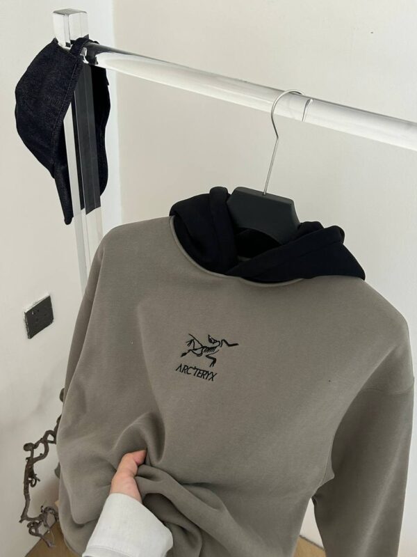 photo_2026-01-05_11-16-20 Худи ArcTeryx