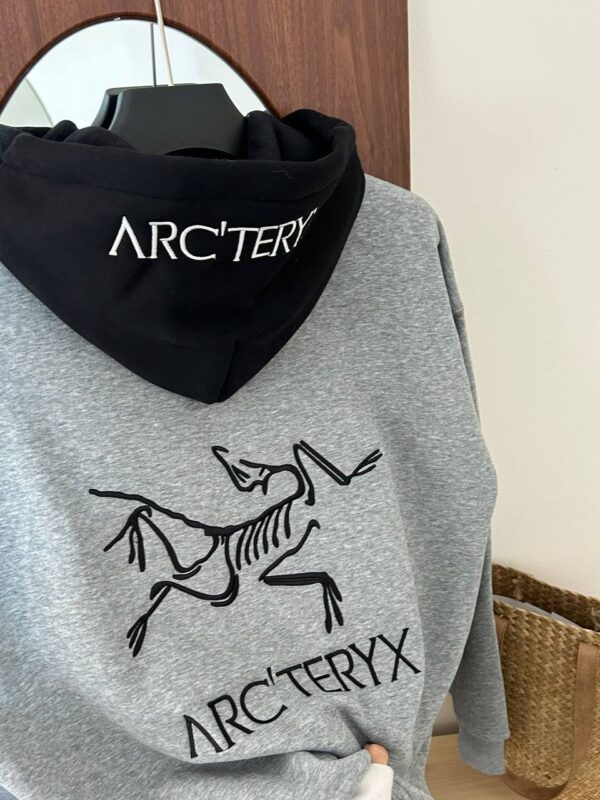 Худи ArcTeryx