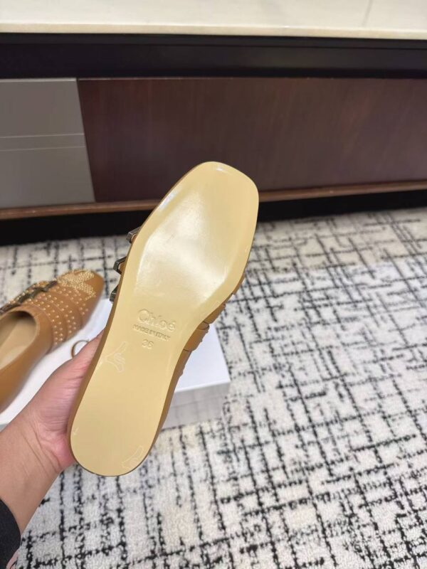 photo_2026-01-18_08-45-08 Туфли с пряжками Chloe