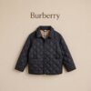 Куртка Burberry