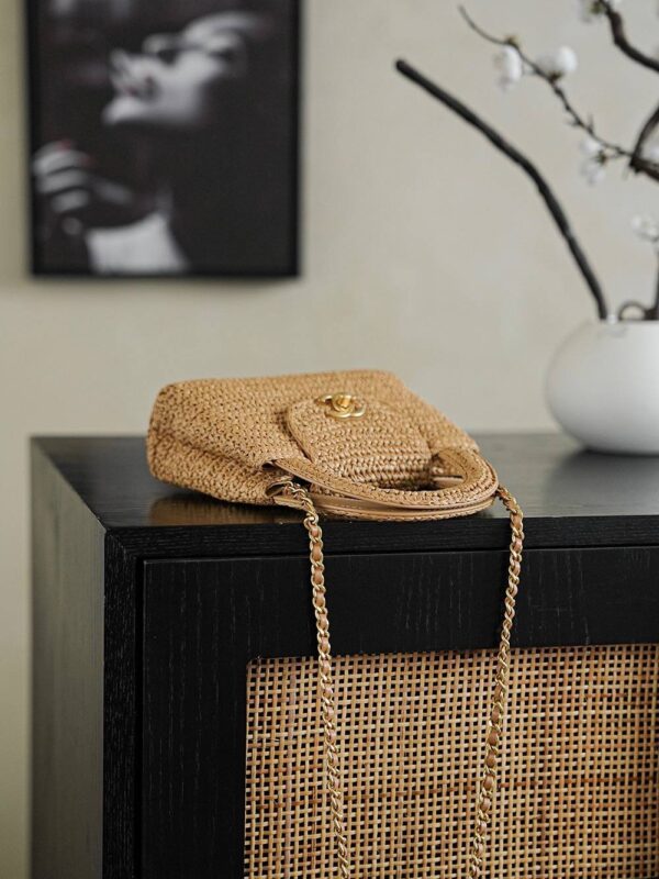 photo_2026-02-23_14-10-16 Сумка Chanel